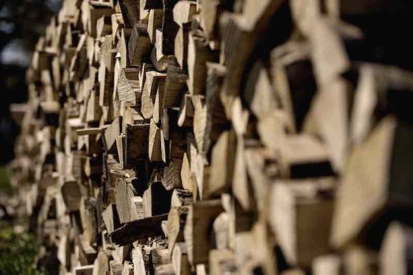 Søllestedgaard. Den grønne verden