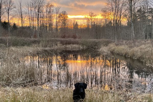 Ulrik_Jørgensen_Jagt